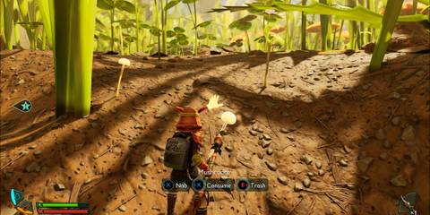 Mushroom in Grounded 2