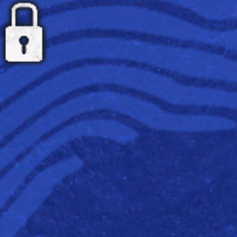 Ocean Camo in Black Ops 6