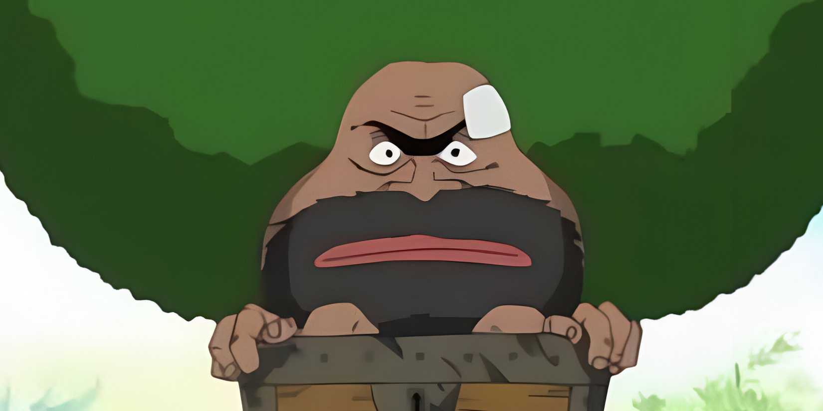 One Piece: The Bizarre Character Oda Prefers Over Any Straw Hat Pirate