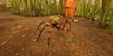 orb weaver buggy in grounded 2