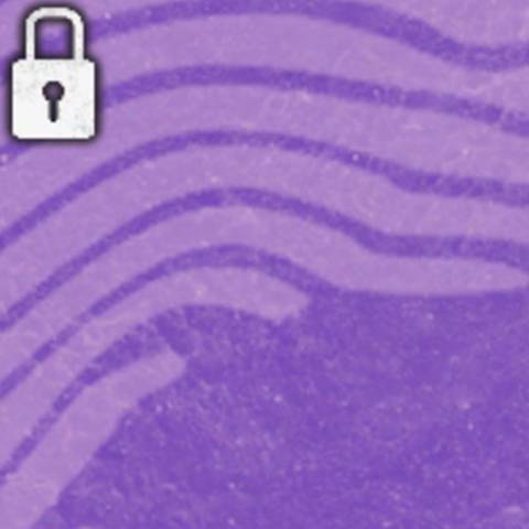 Orchid Camo in Black Ops 6