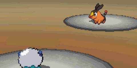 Oshawat vs Tepig in Pokemon White