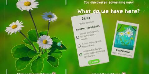 out and about discovered something new