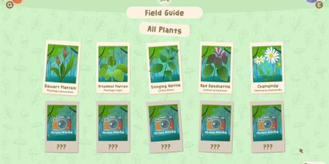 out and about field guide