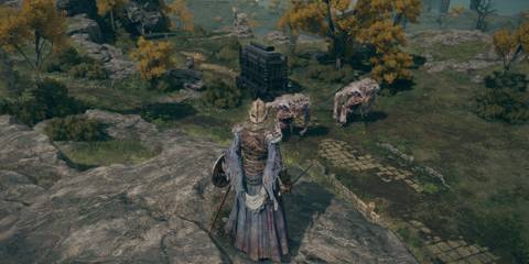 Overlooking enemies from a cliff in Elden Ring
