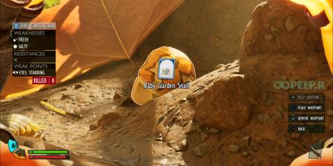 Peeping a Baby Garden Snail in Grounded 2