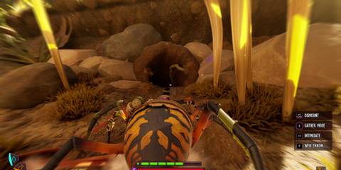 pinch wacker cave location in grounded 2