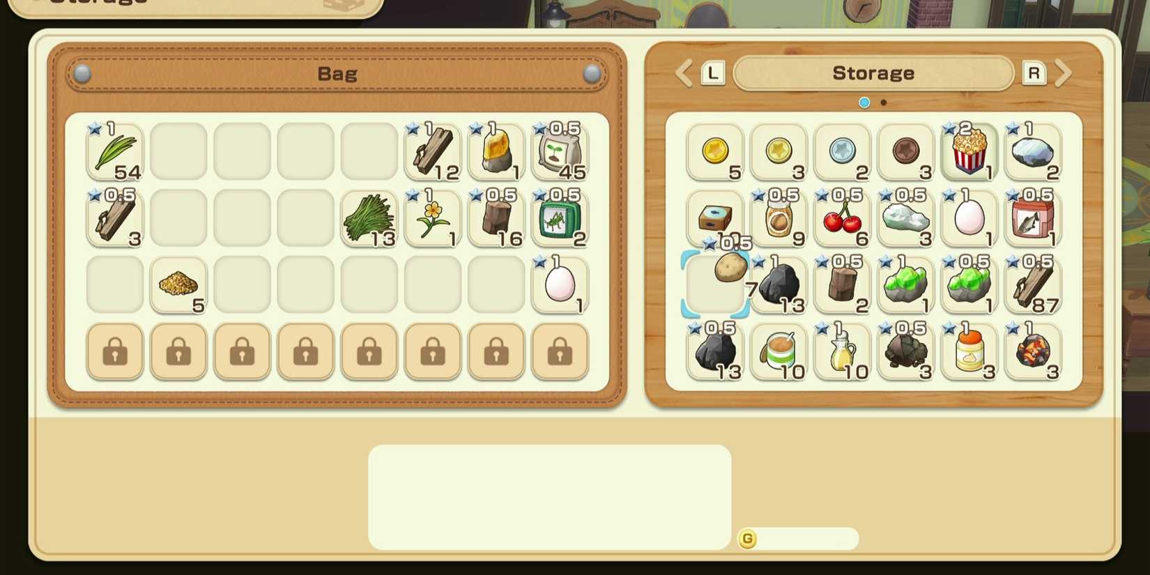 placing items in storage grand bazaar