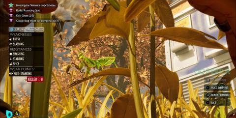 Praying Mantis Nymph in Grounded 2