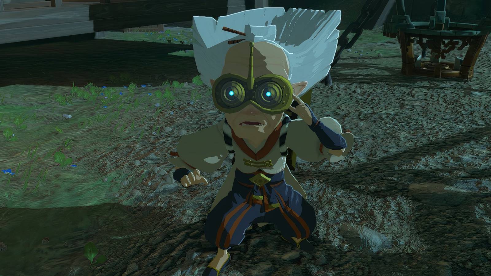 Robbie in The Legend Of Zelda Tears Of The Kingdom