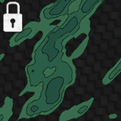 Rogue Camo in Black Ops 6