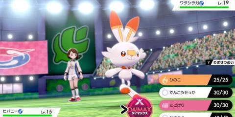 Scorbunny in a gym battle - Pokemon Sword And Shield