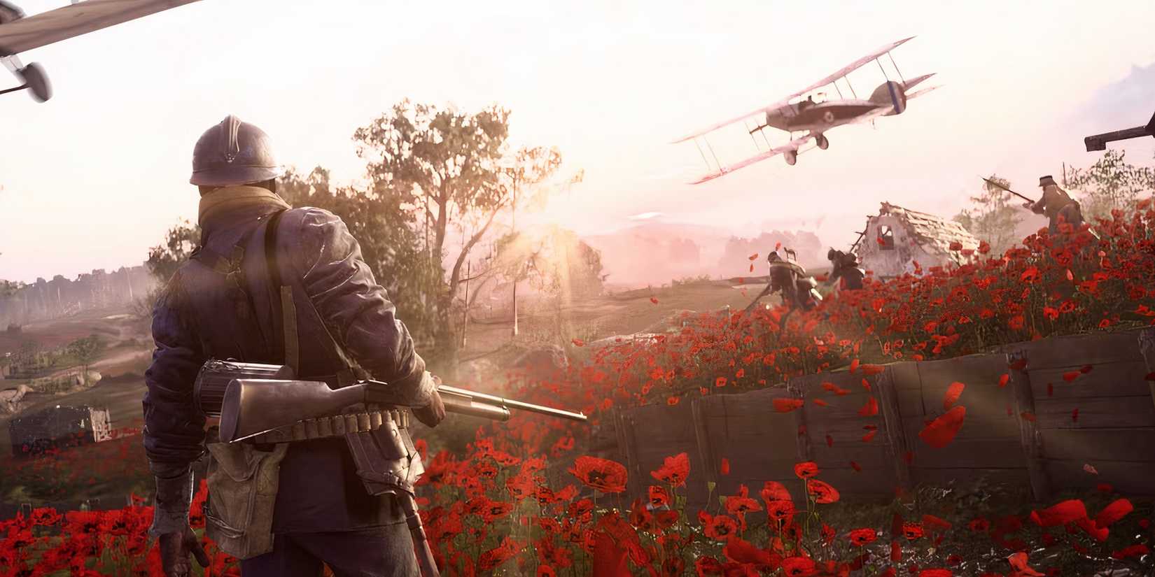 Solider looking over a field of red flowers