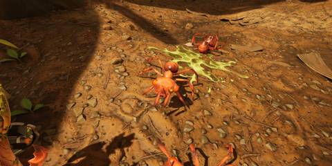 A Red Worker Ant Stunned 