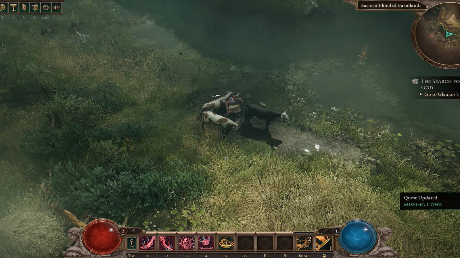 The Player Standing around 3 of the Missing Cows 