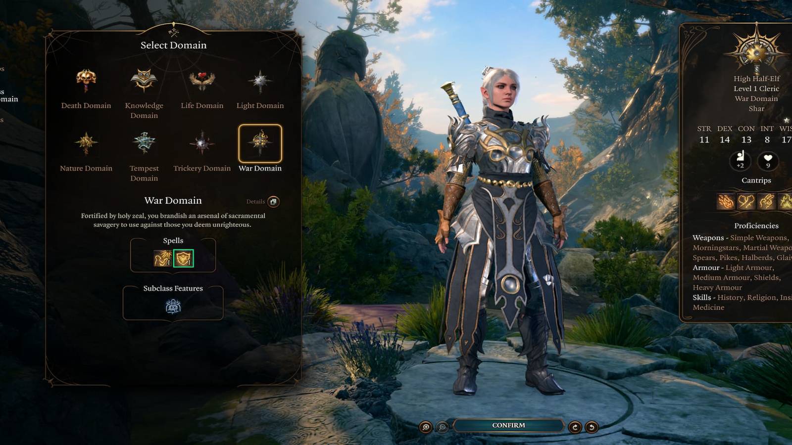 The Player Choosing the War Domain Subclass