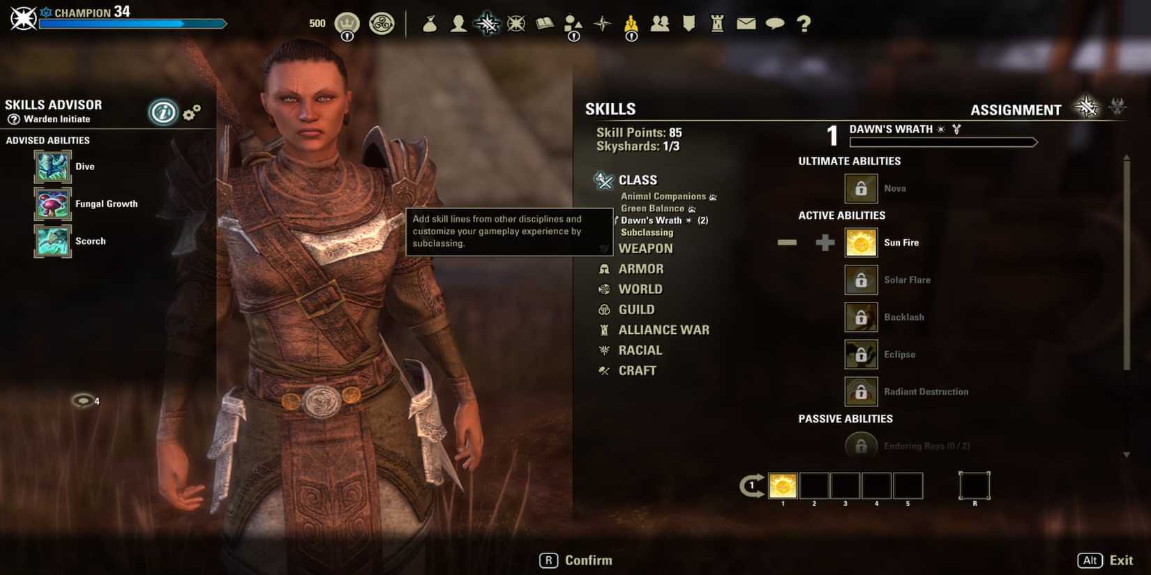 The Player Choosing how to Subclass