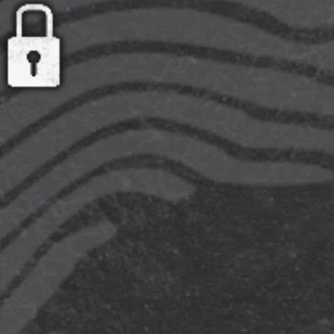 Shadow Camo in Black Ops 6