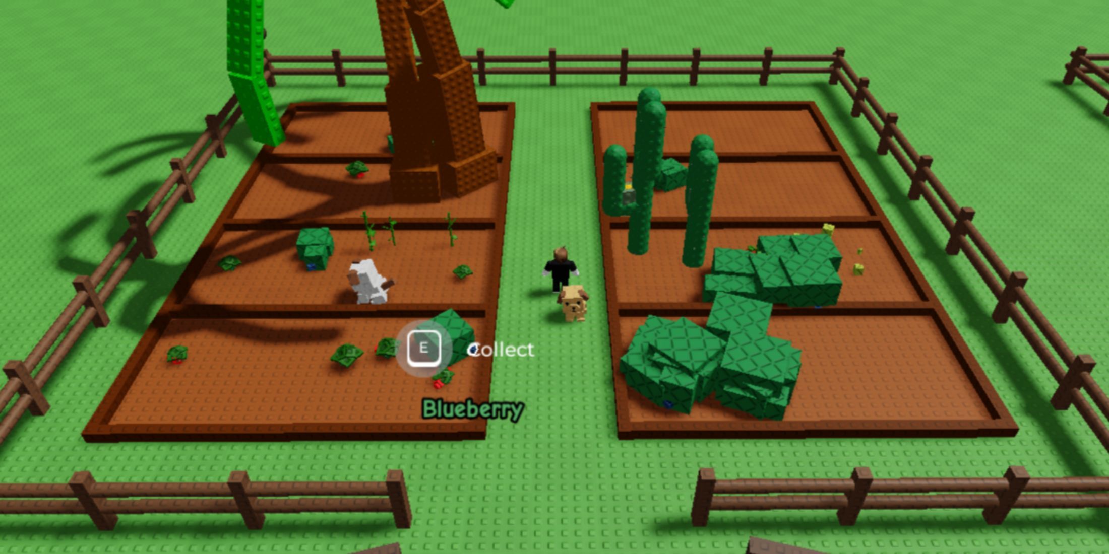 Move the garden - Farm