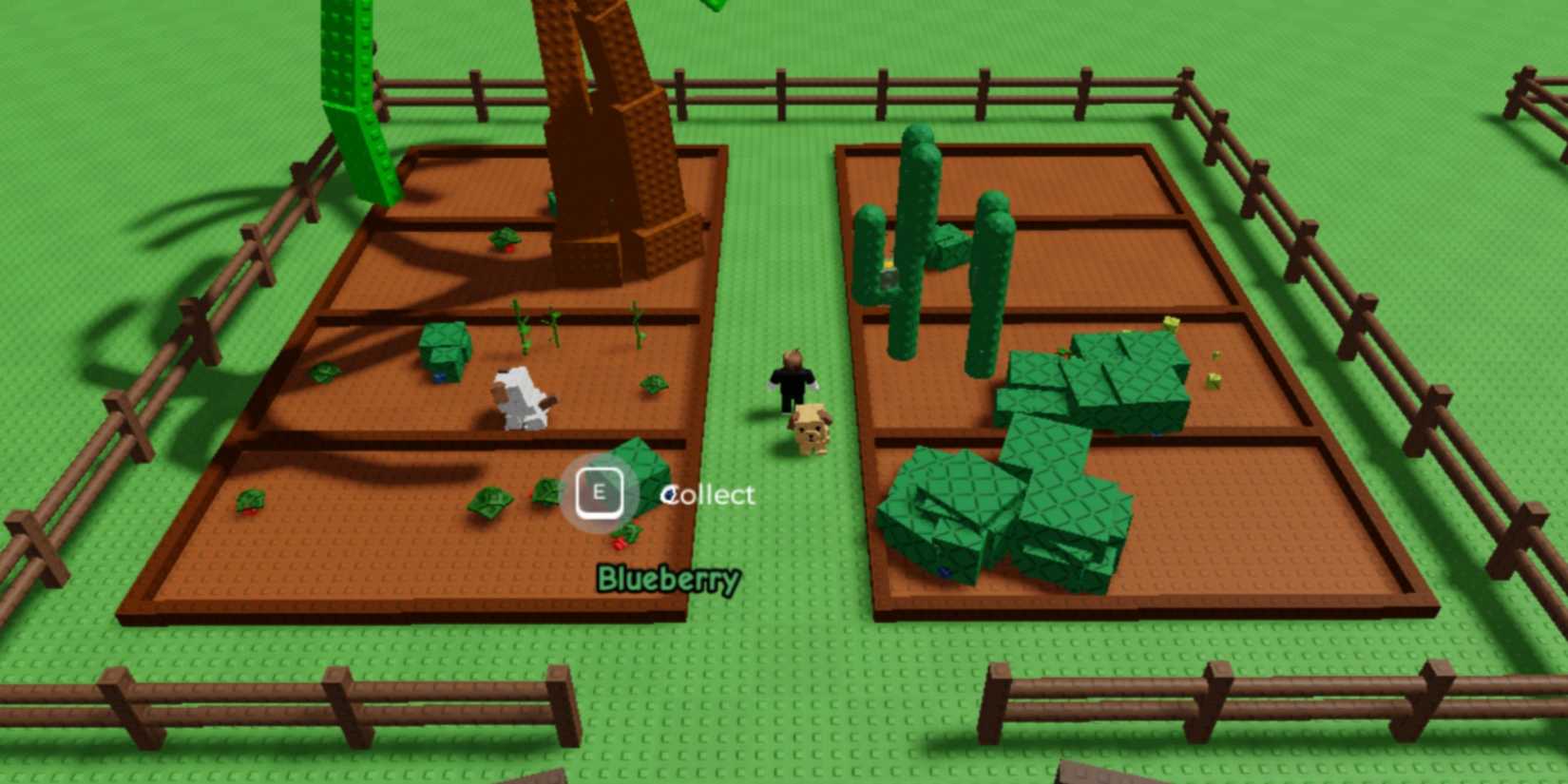 Grow a Garden - farm