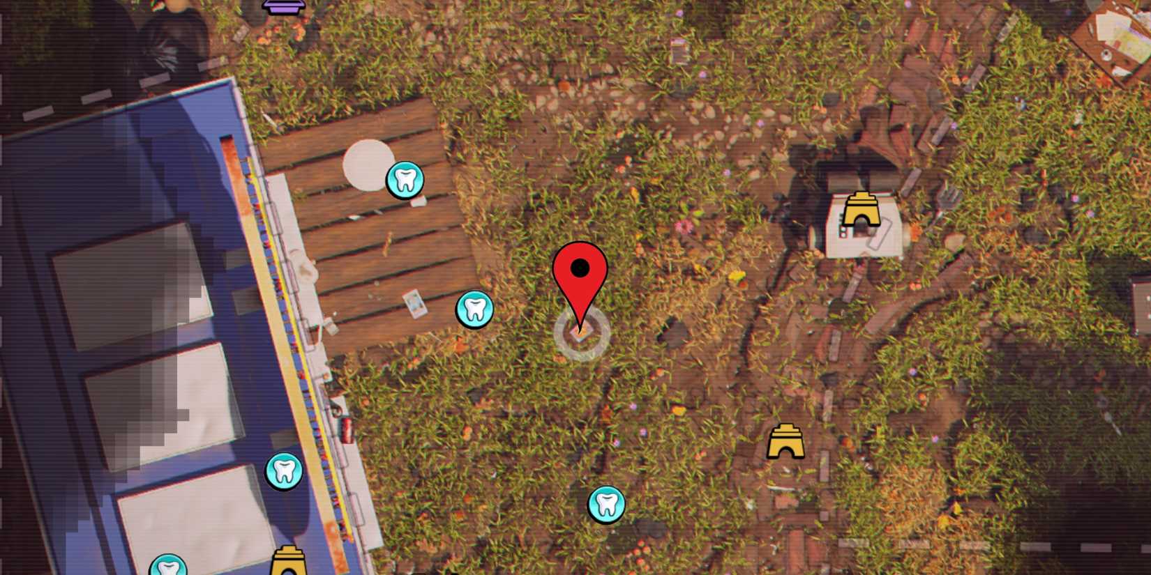 spicy candy location 1 in grounded 2