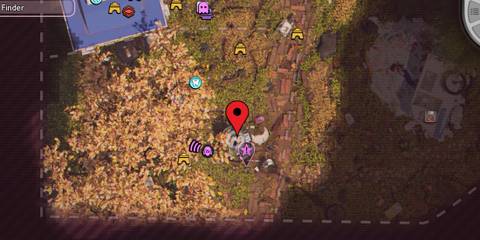 spicy candy location 3 in grounded 2