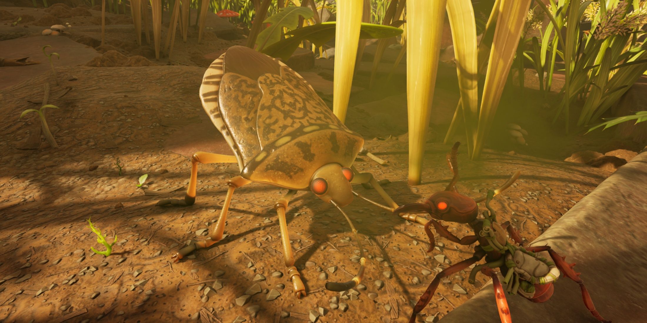 stink bug grounded 2