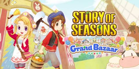 story of seasons grand bazaar dlc explained