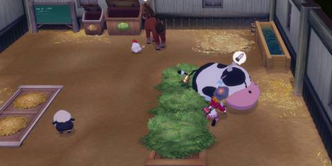 Story of Seasons Grand Bazaar - All Animals & What They Produce