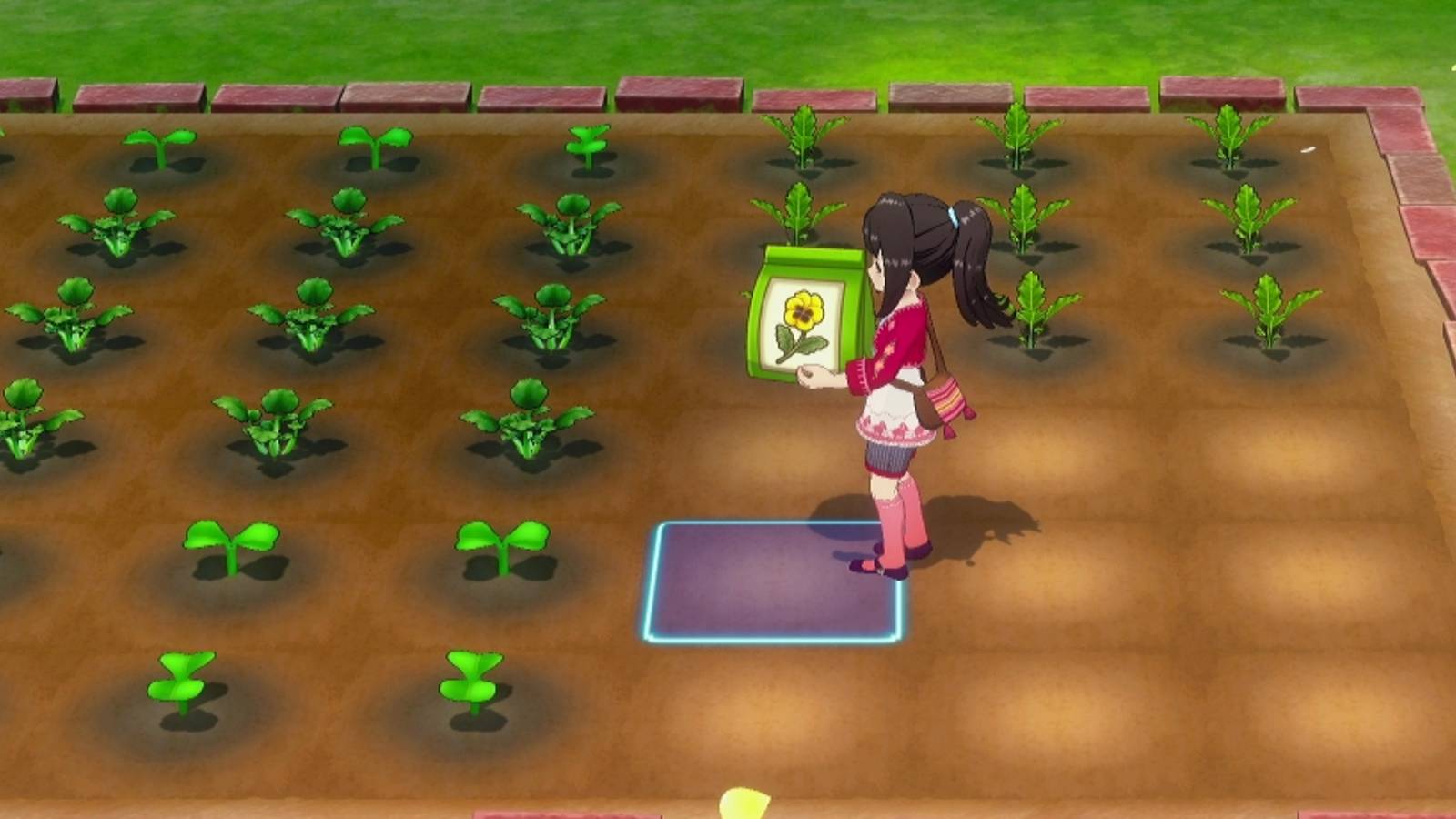 story of seasons planting seeds