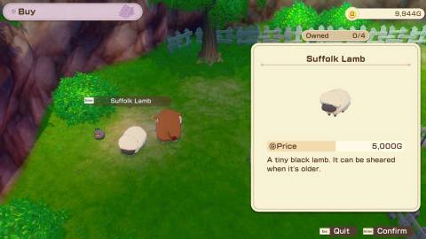 Suffolk Lamb SoS Grand Bazaar