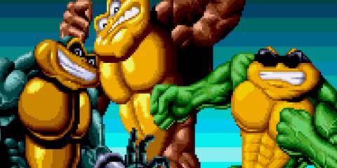 The Battletoads in Battletoads & Double Dragon