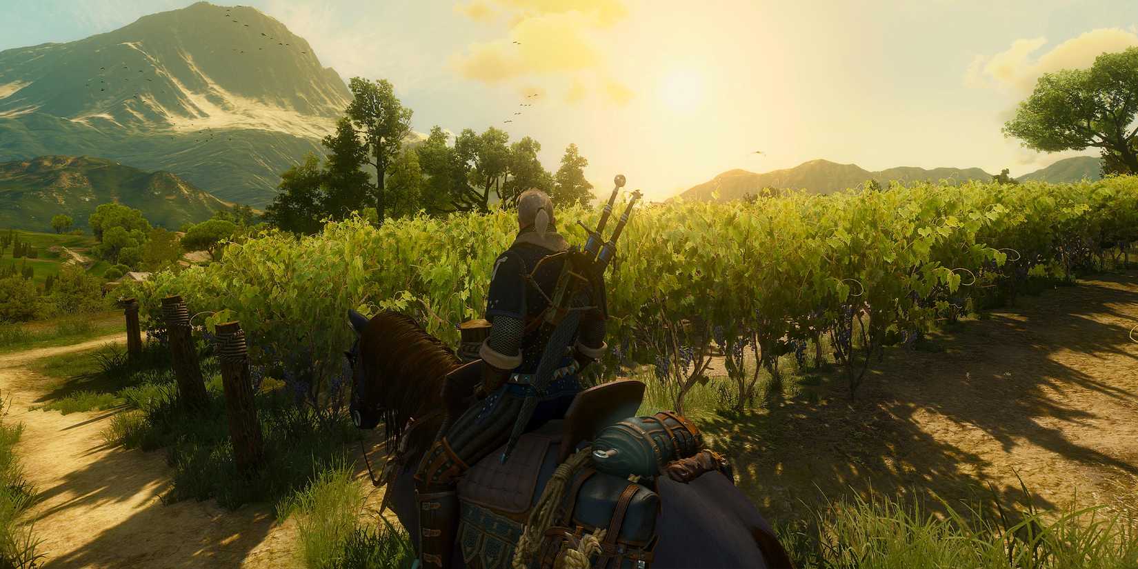 The Witcher 3 Blood and Wine vineyard