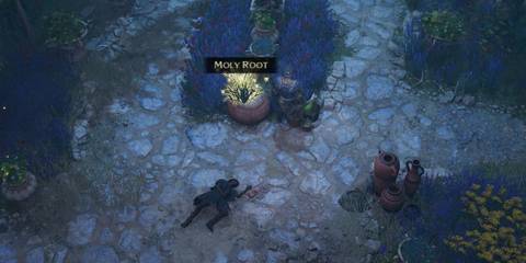 Titan Quest 2 Moly Root How To Use It And Where To Find It