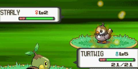 Turtwig vs Starley in Pokemon Diamond