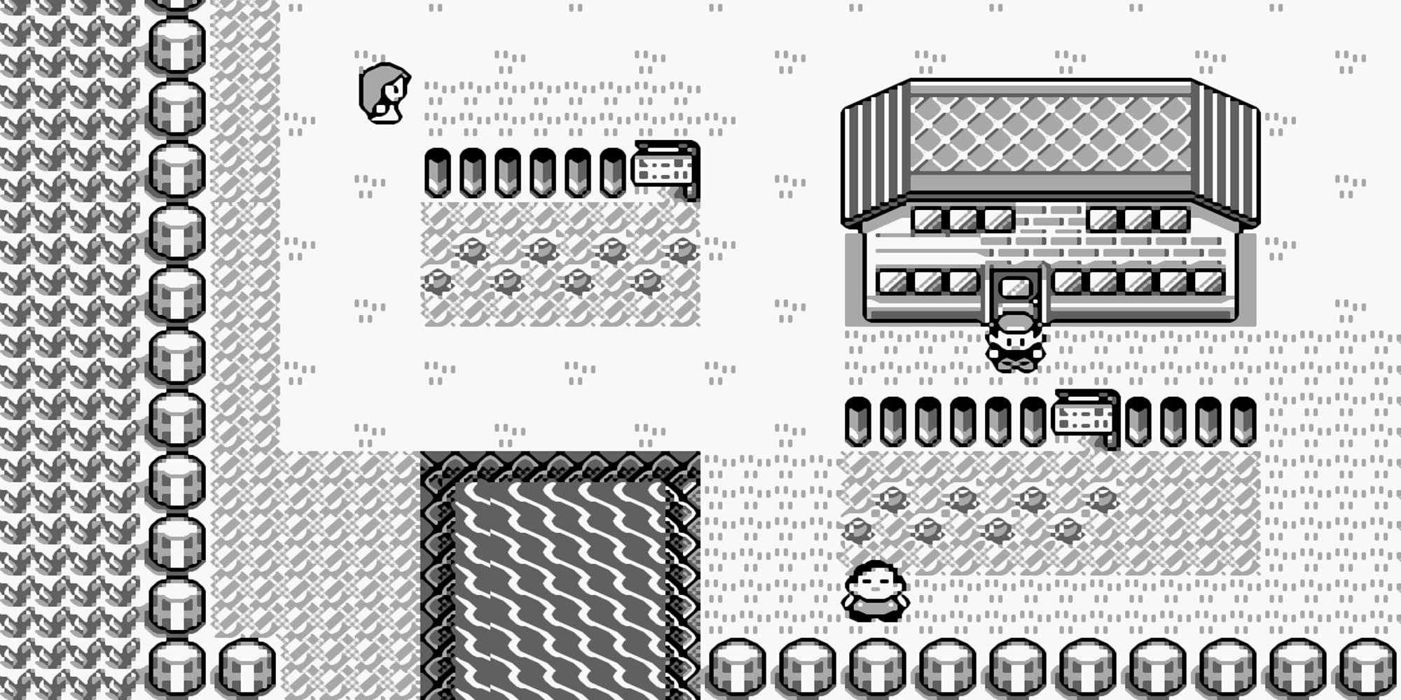 Glede Definetion I'm So Glad I Grew Up with Pokemon's Controversial Release Schedule ...