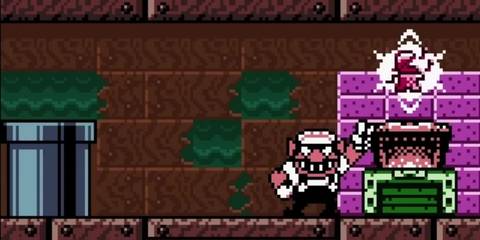 Wario Land 3 (3)