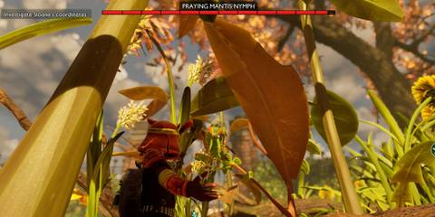 Where To Find Praying Mantis Nymph in Grounded 2