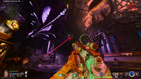 where to shoot for the fungal head