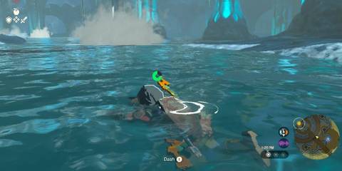 Zelda Tears of the Kingdom Link Swim