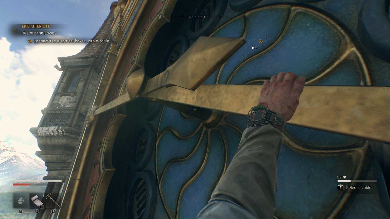 Lighting Light: The Life of the Animal after life rises to hours