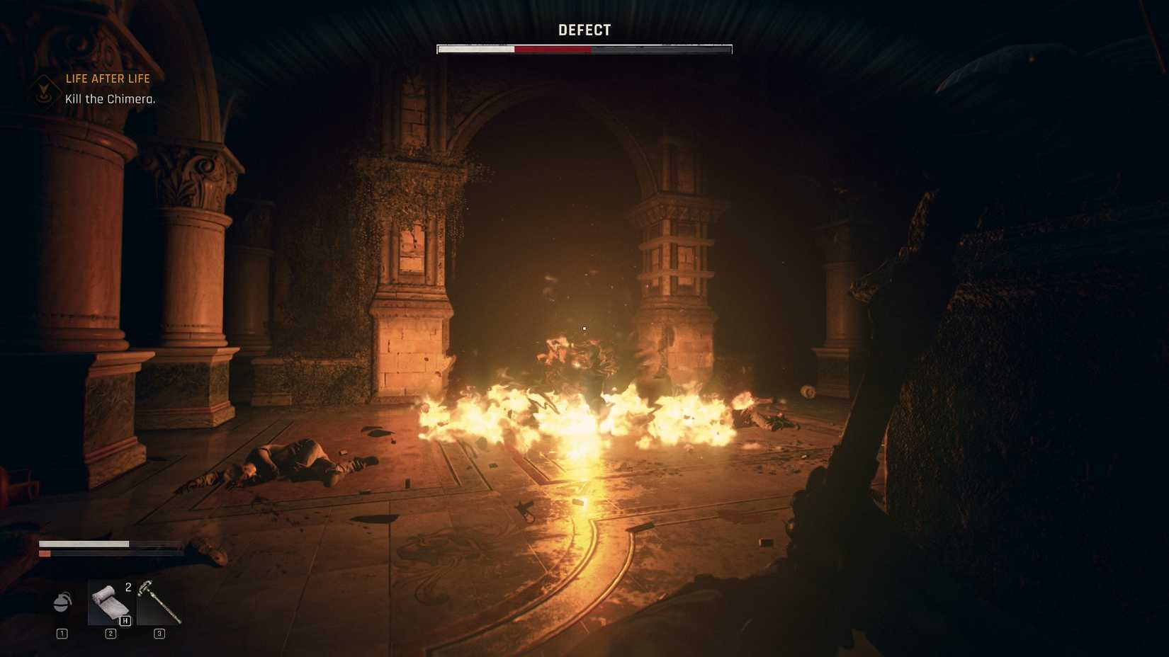 Matching light hit defects of the animal with molotov