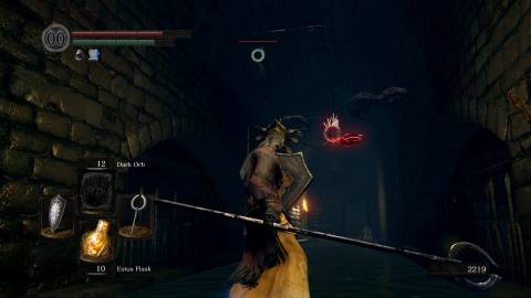 Titanite Catch Pole in Dark Souls