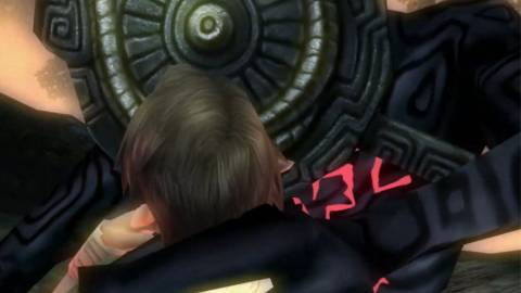 A Shadow Beast attacks Link - The Legend of Zelda Twilight Princess