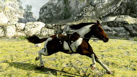 Agro in Shadow Of The Colossus (3)