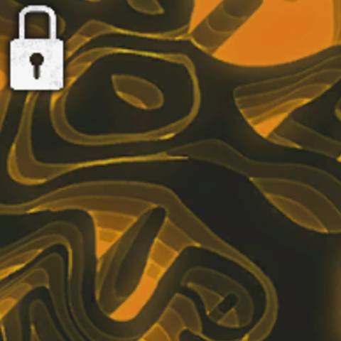 Amber Steppes Camo in Black Ops 6