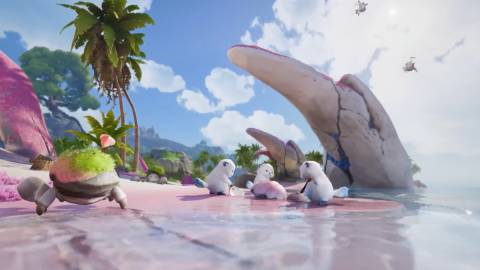 Aniimo gathered on the beach in Aniimo