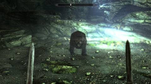 Attacking a bear with blades in The Elder Scrolls 5 Skyrim (2021)