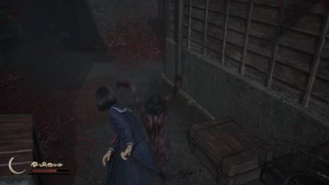 Attacking a blurry monster in Silent Hill f