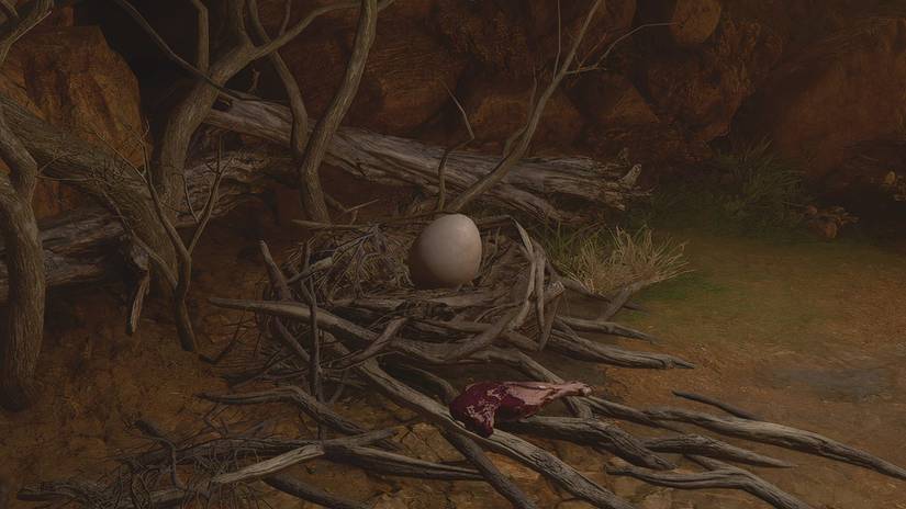 Baldurs-Gate-3-Owlbear-Egg